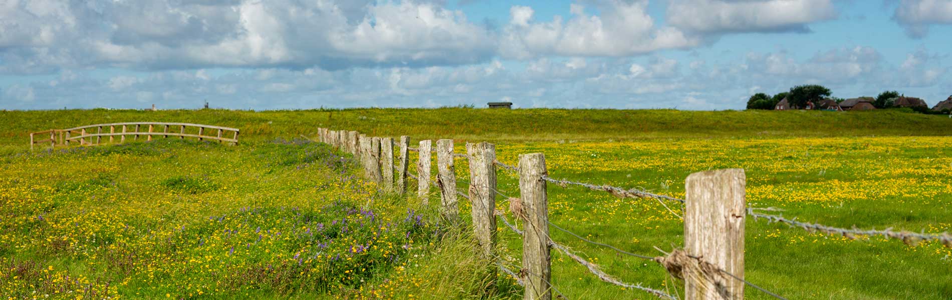 Header Image Sven Magnussen