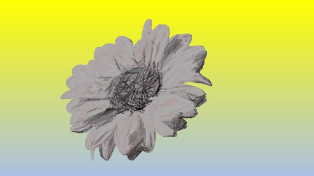 Planning Helianthus ‘SunCatcher’ 2022