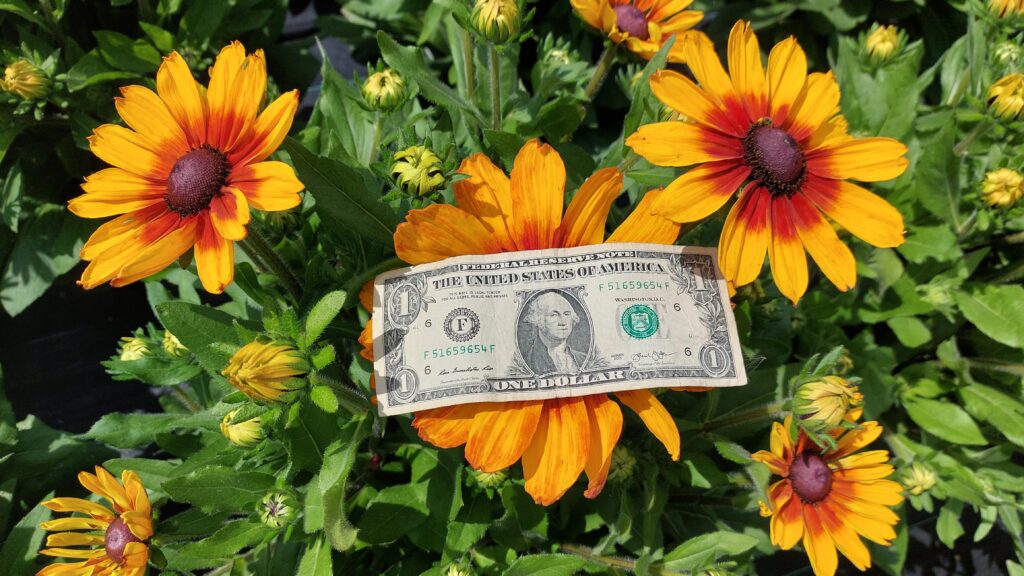 Cultivate’23 and Plantarium