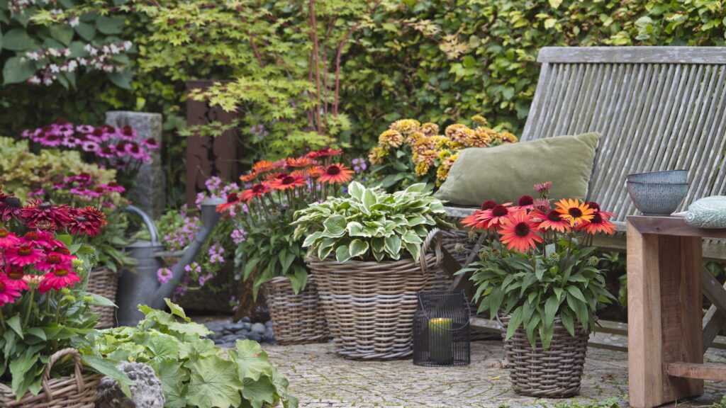 ‘SunMagic Vintage’ is chic!