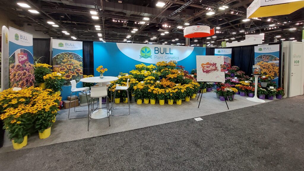 Reviewing Cultivate’24 and the ‘Sunbeckia’ Summer