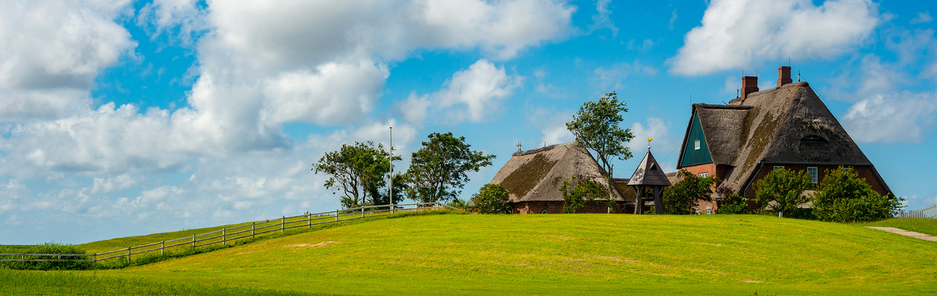 Header Image Sven Magnussen