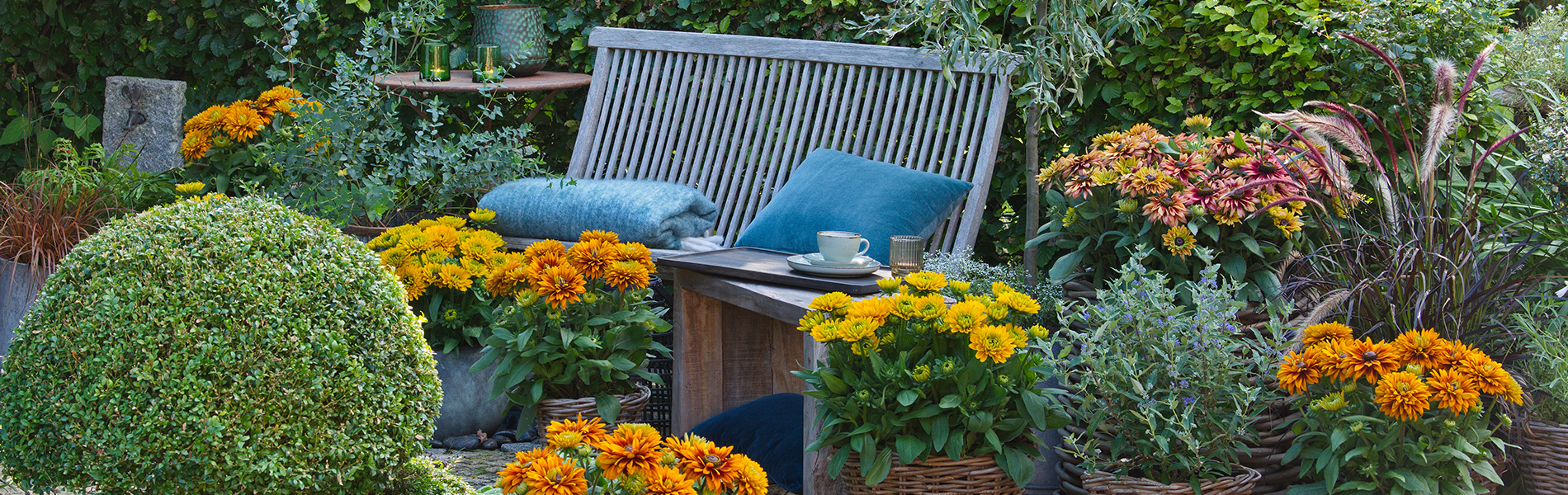 Header Image Sven Magnussen